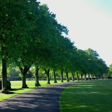 Abbey Park