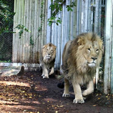 Bristol Zoo Garden
