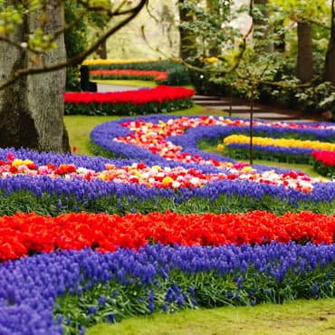 Keukenhof