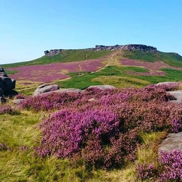 Longshaw Estate