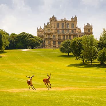 Wollaton Hall, Garden & Dear Park